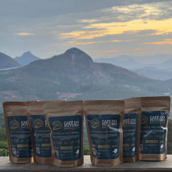 KIT 6 CAFÉS ESPECIAL 88,9 PONTOS TORRADO EM GRÃOS 250g